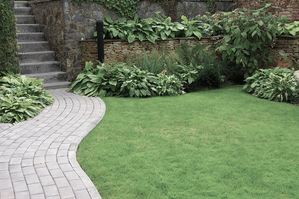 Welcome to Quick Landscaping